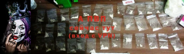 ECSTASY Богородск