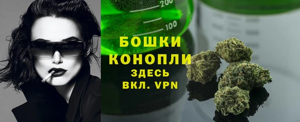 ECSTASY Богородск