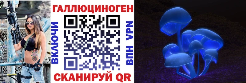 Псилоцибиновые грибы GOLDEN TEACHER купить Бологое